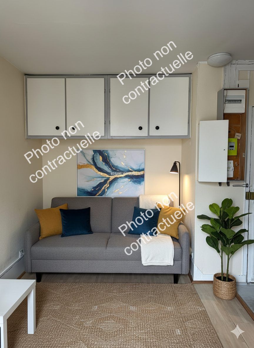 appartement 1 pièce en vente sur Paris (75015)