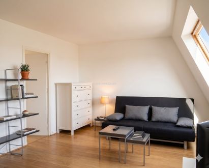 Location Appartement Paris 15 1&nbsp;pièce 33.4&nbsp;m²