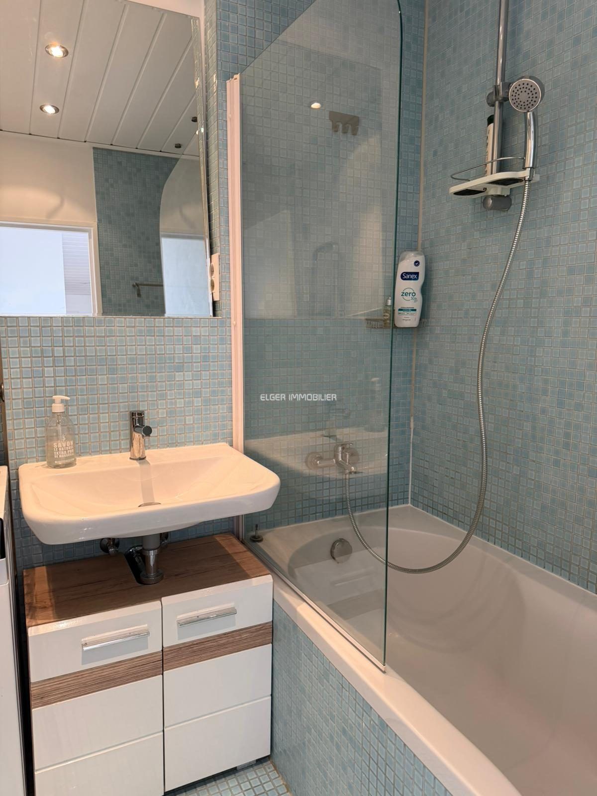 appartement 3 Pièces en location sur Paris (75015)