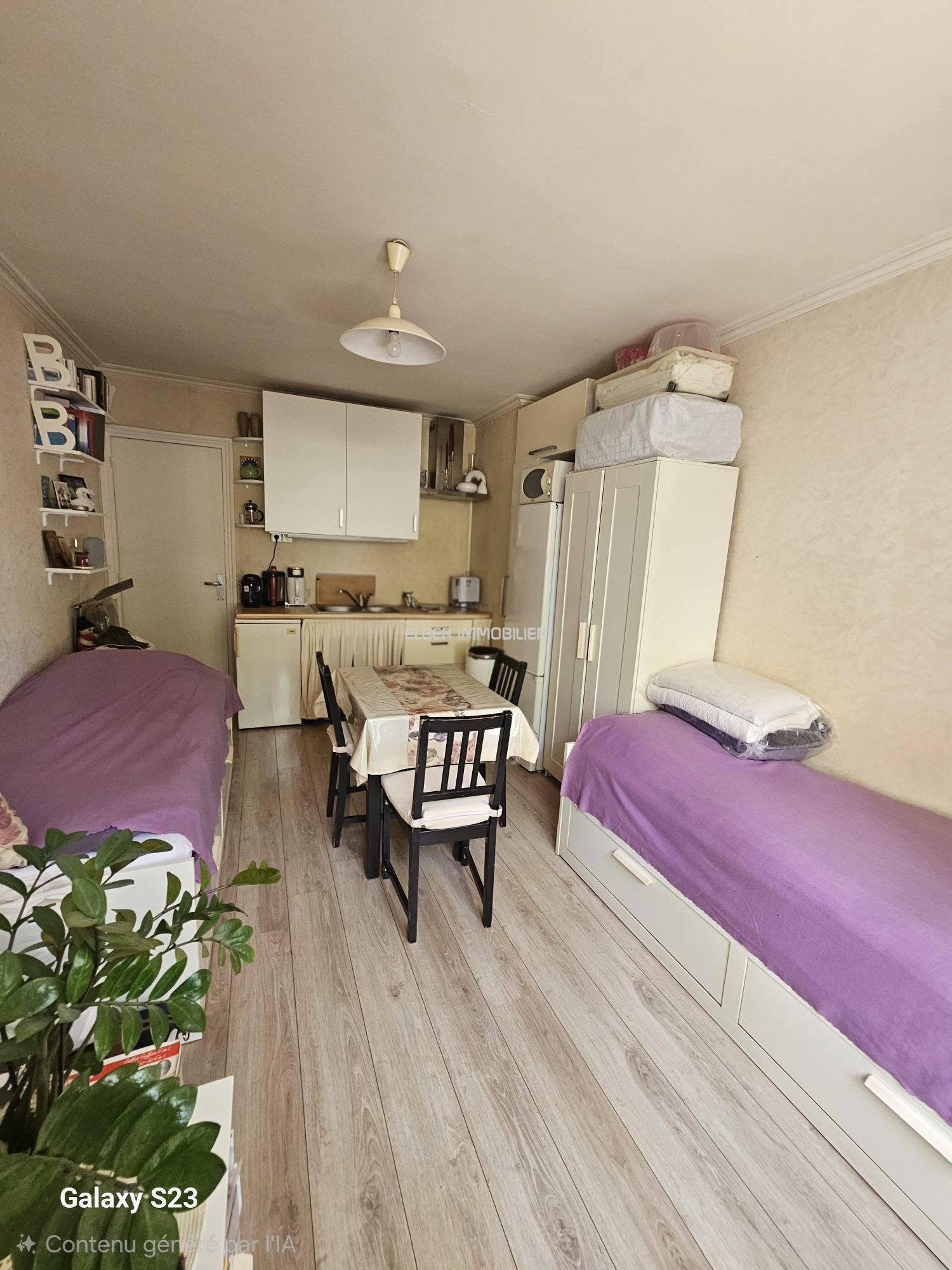 apartment 1 room for sale on Paris (75015)